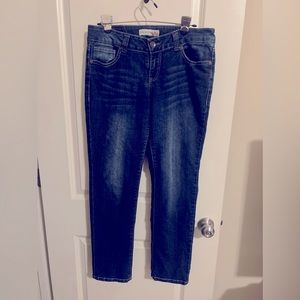 Navy Blue Stretchy Skinny Jeans